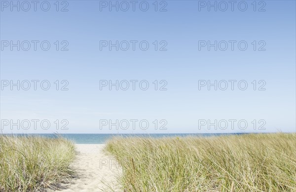 Footpath leading to sandy beach