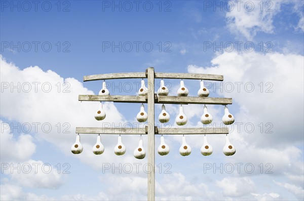 Row of purple martins' birdhouses made from empty gourds