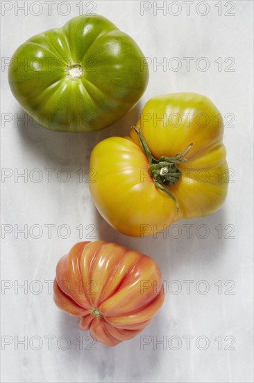 Tomatoes on white background