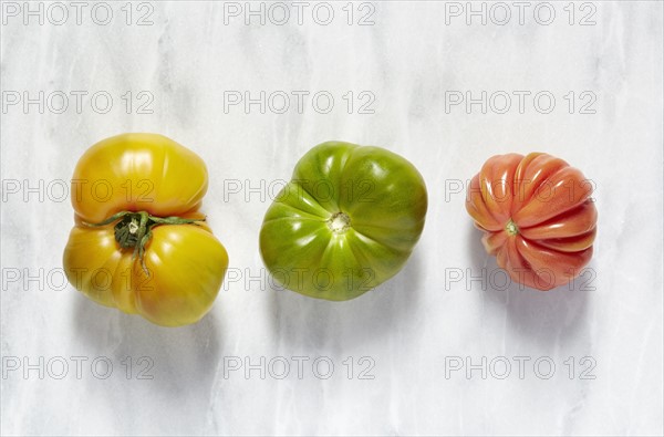 Tomatoes on white background