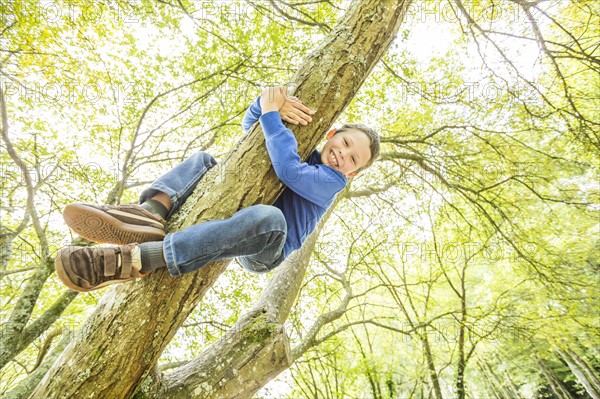 Smiling boy (6-7) climbing tree