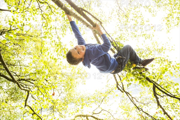 Smiling boy (6-7) hanging on branch