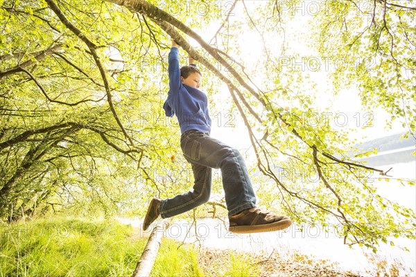 Boy (6-7) hanging on branch