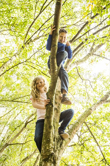 Boy (6-7) and girl (8-9) climbing tree