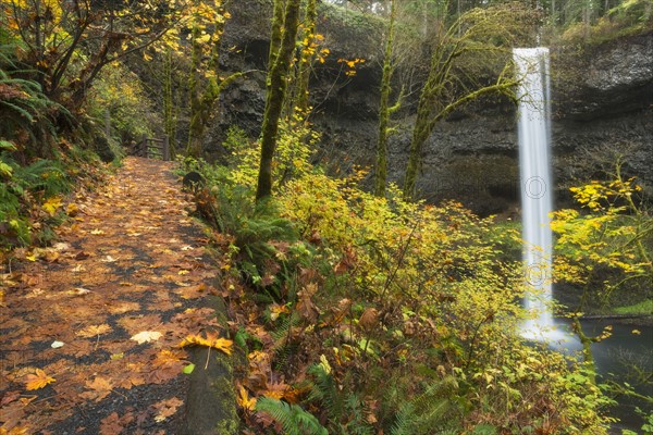 Waterfall in autumn forest