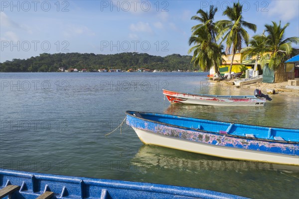 Old boats moored by beach with growing palm trees