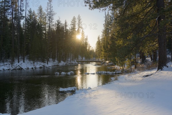 River in winter forest