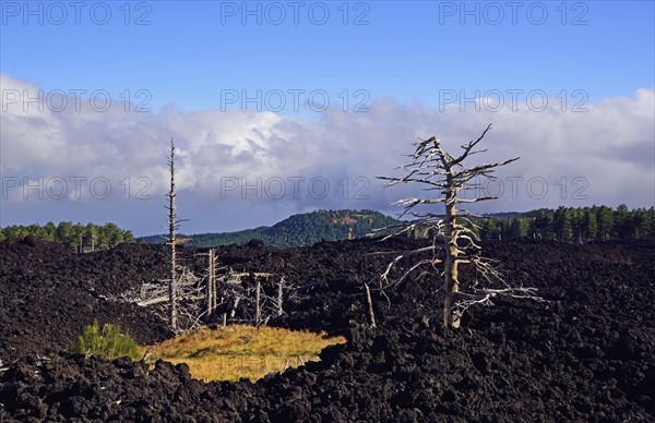 Mount Etna's dried lava flow