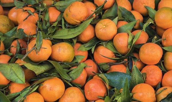 Clementines at farmer's market