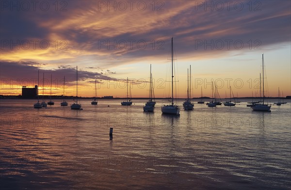 Boats in harbor at dawn