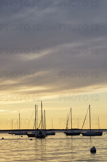 Boats in harbor at dawn