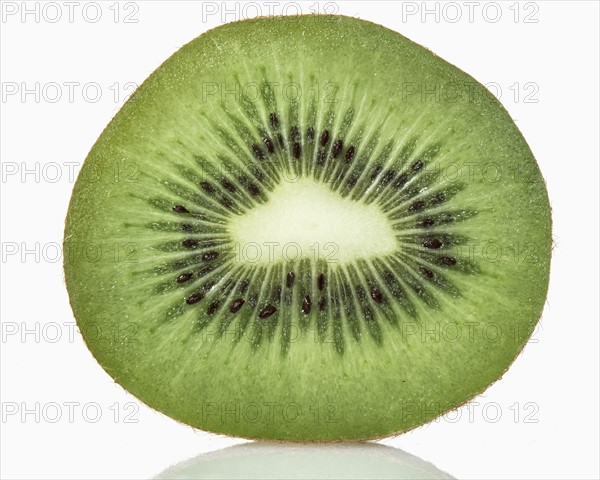 Cross section of kiwi