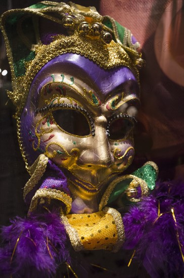 Mardi Gras mask