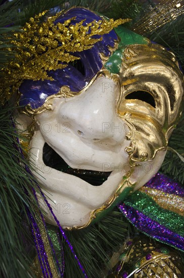 Mardi Gras mask