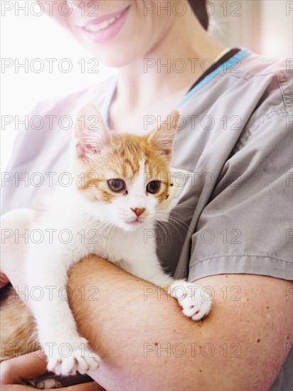 Vet holding kitten