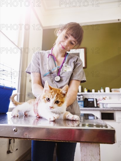 Vet holding kitten on table