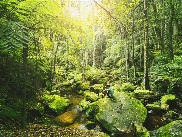 Mid adult man sitting on rock in green forest