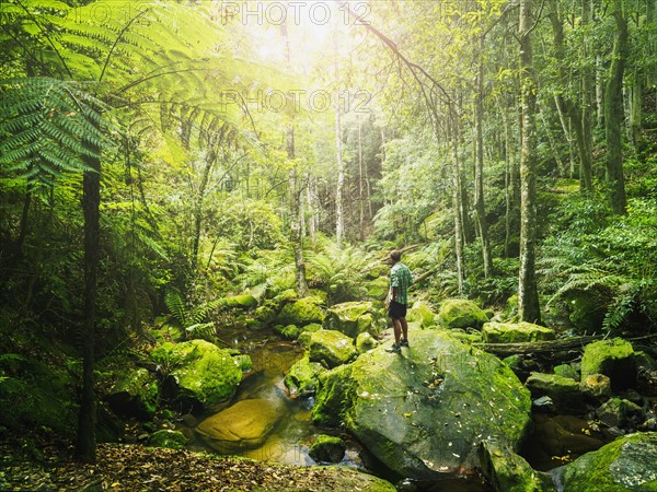 Mid adult man standing on rock in green forest