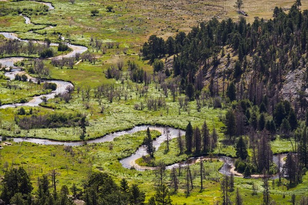 Landscape with meandering river