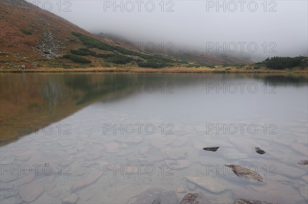 Rocks in clear water