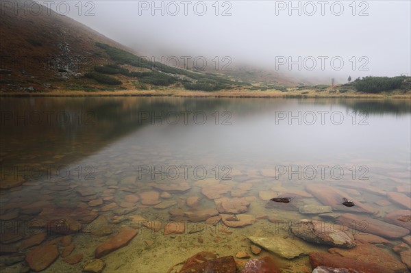 Rocks in clear water