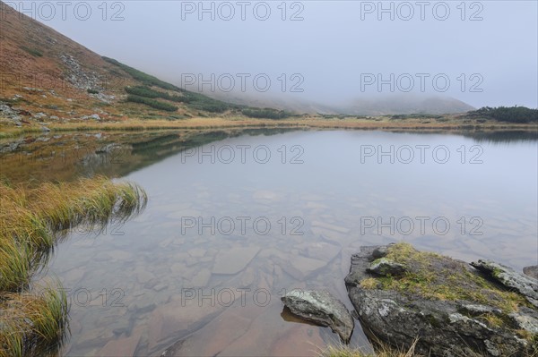 Rocks in clear water