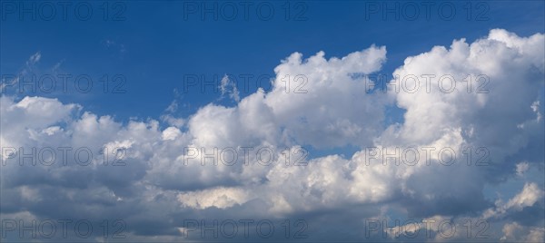 Panoramic cloudscape in sunlight.