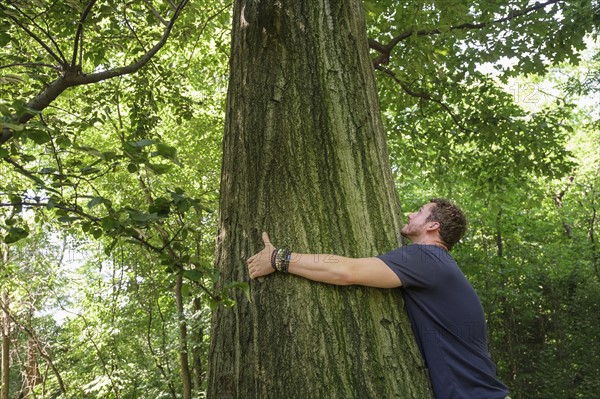 Man hugging tree.