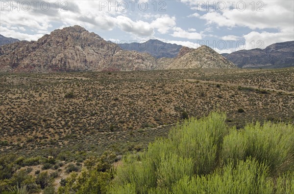 Nevada, Red Rock Canyon, Landscape with rock mountains