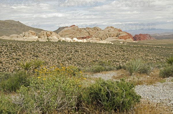 Nevada, Red Rock Canyon, Landscape with rock mountains