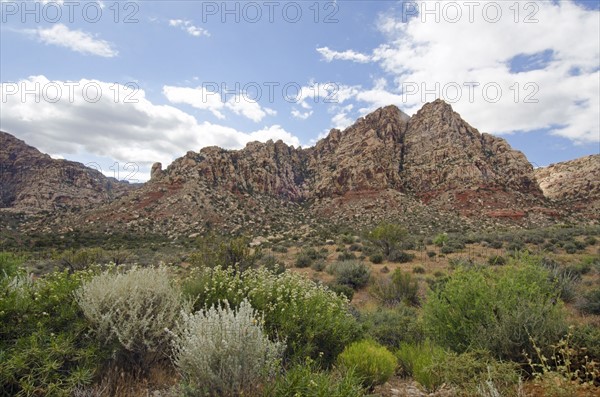 Nevada, Red Rock Canyon, Landscape with rock mountains