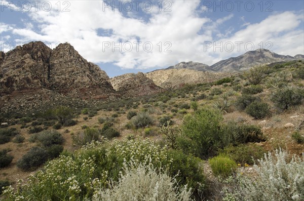 Nevada, Red Rock Canyon, Landscape with rock mountains