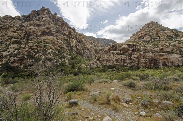 Nevada, Red Rock Canyon, Landscape with rock mountains