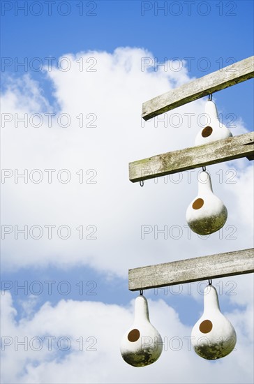 Birdhouses hanging on wooden post