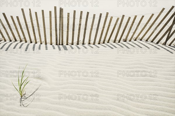 Massachusetts, Nantucket Island, Sand fence on beach