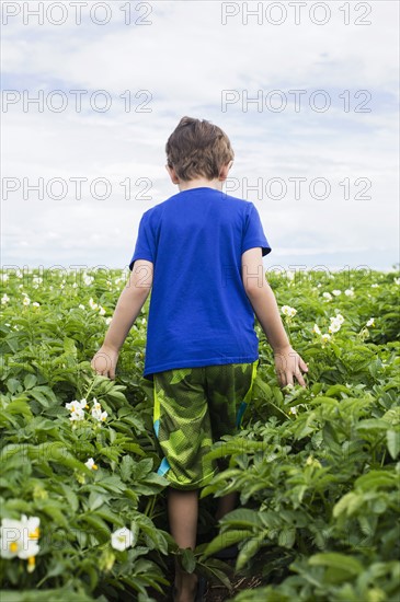 Boy (6-7) walking in field