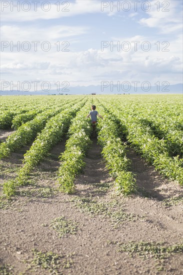 Boy (6-7) walking in field