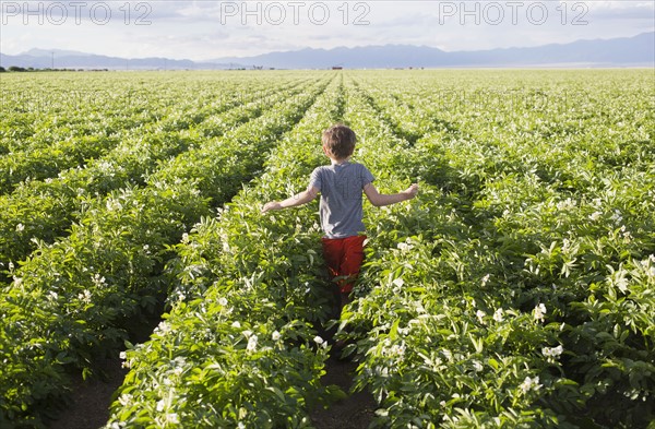 Boy (6-7) walking in field