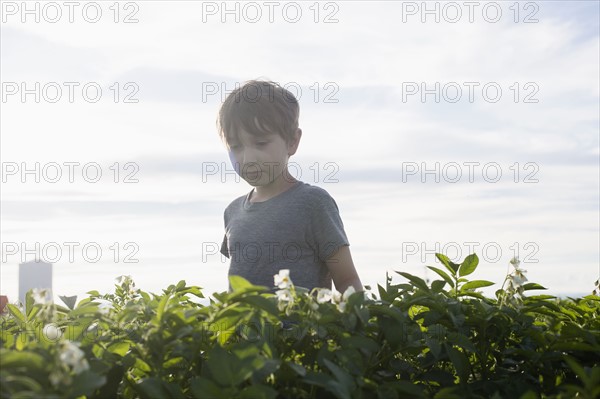 Boy (6-7) walking in field