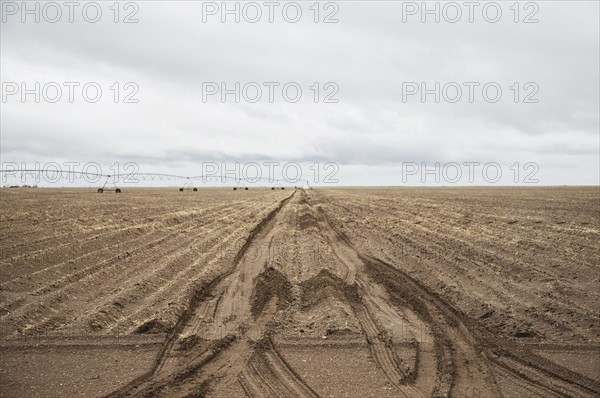 Tire tracks in field
