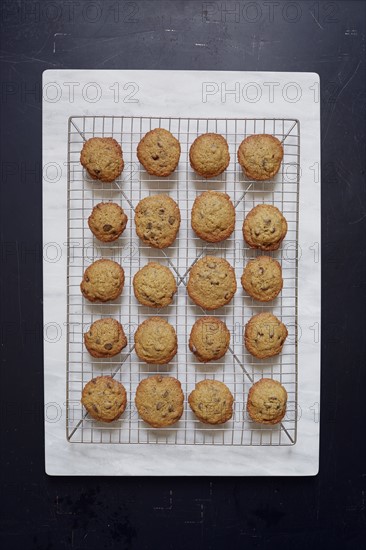 Overhead view of baking sheet with chocolate cookies