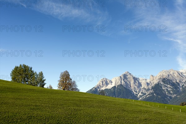 Austria, Salzburger Land, Maria Alm, Meadow with mountains in distance