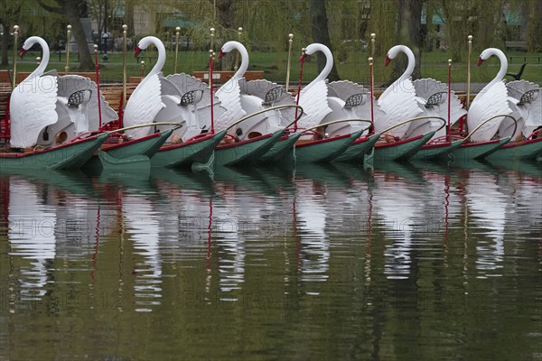 Massachusetts, Boston, Swan boats in Boston Public Garden