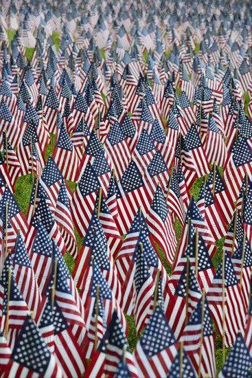 Massachusetts, Boston, American flags on Boston Common