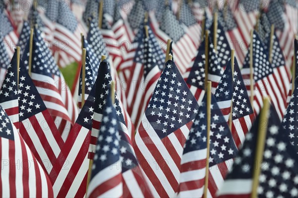 Massachusetts, Boston, American flags on Boston Common