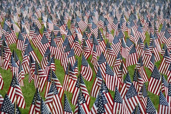 Massachusetts, Boston, American flags on Boston Common