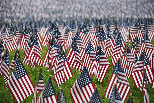 Massachusetts, Boston, American flags on Boston Common