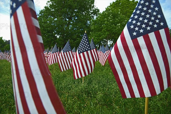 Massachusetts, Boston, American flags on Boston Common