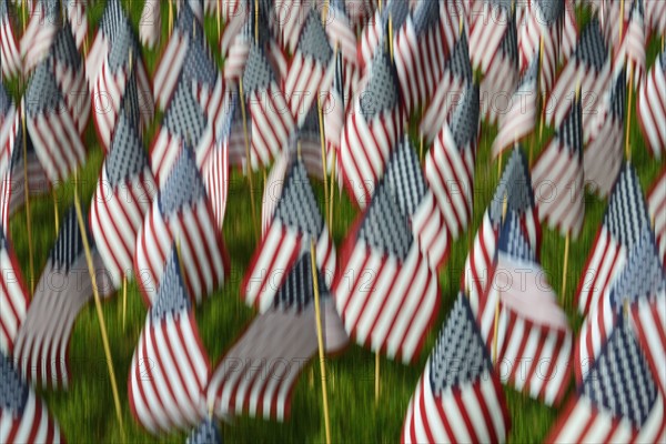 Massachusetts, Boston, American flags on Boston Common