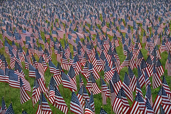 Massachusetts, Boston, American flags on Boston Common